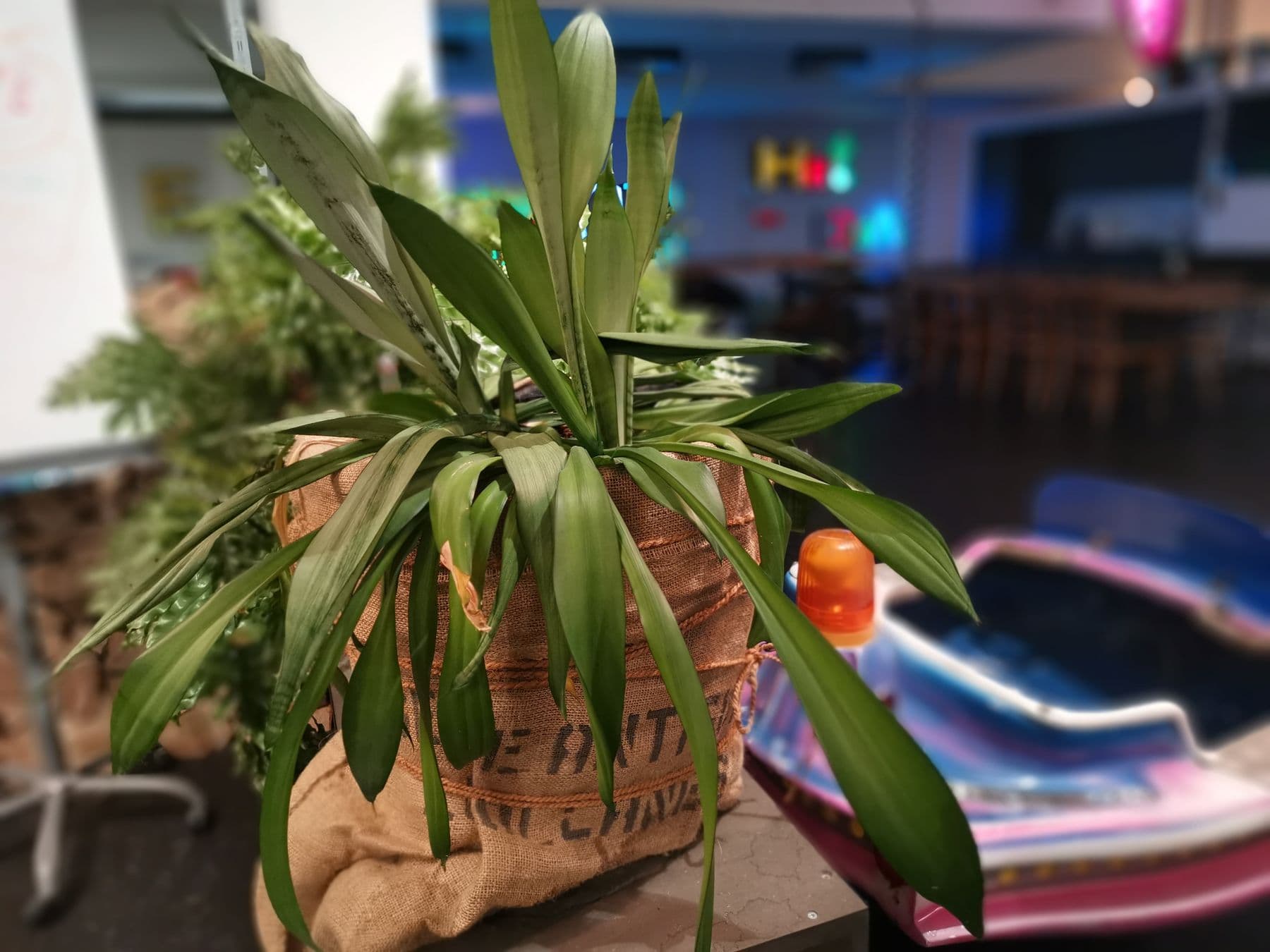 Space 2015 – Coworking · Coffee Lounge · Meeting Accra & Rio de Janeiro – Bild 2